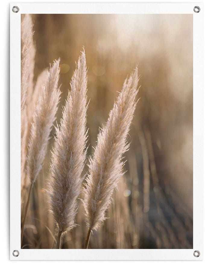 Tuinposter Pampas - 80 x 60 - Canvas - REINDERS