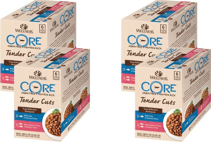 Wellness Core Tender Cuts Tuna Selection - Kattenvoer - 4 x Tonijn 6x85 g
