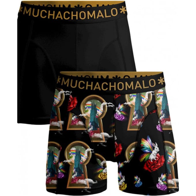 Muchachomalo Boxer overtherain