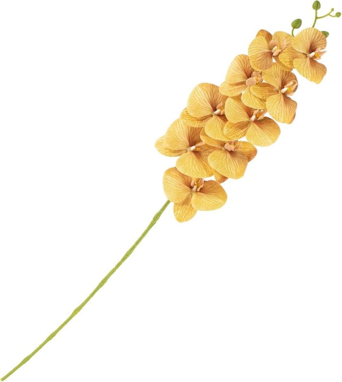 HomeBound by KY | Kunstbloem orchidee oranje | kunstbloem
