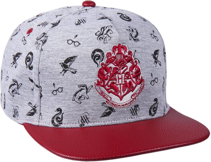 Unisex hat Harry Potter 57-59 cm Grey