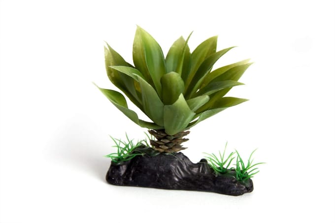 RepTech Terrarium Plant Thick Succulent