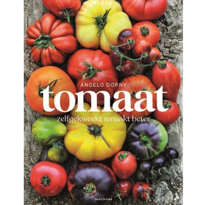 Tomaat - Angelo Dorny