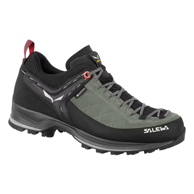 Wandel schoenen dames Salewa Mtn Trainer 2 Gtx