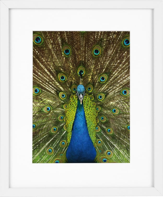 Goldbuch - Fotolijst Pino - Wit - 13x18 cm (20x25 cm)