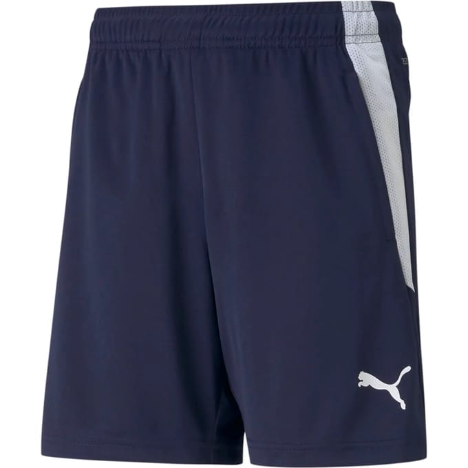 Kinder shorts Puma Team Liga Training