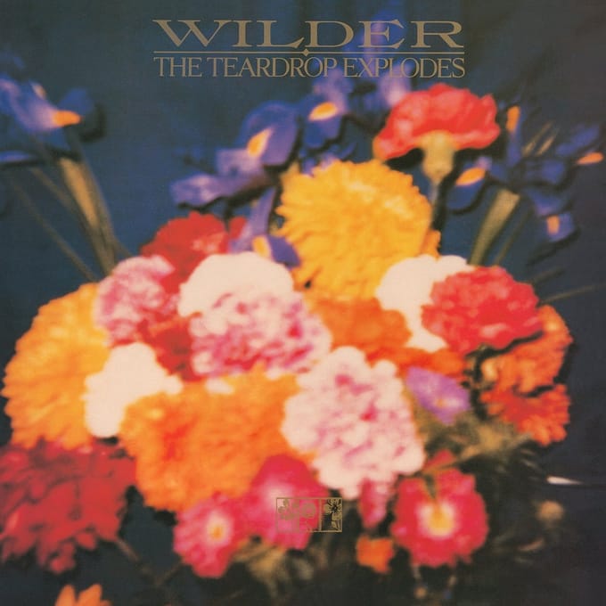 Wilder - Teardrop Explodes