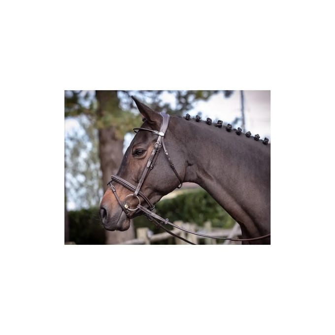 Bridles woensdag Jump'In Collection Week