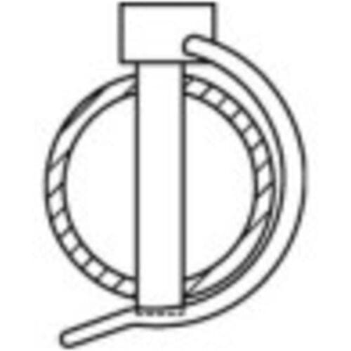 TOOLCRAFT Buisklem 50 stuk(s)
