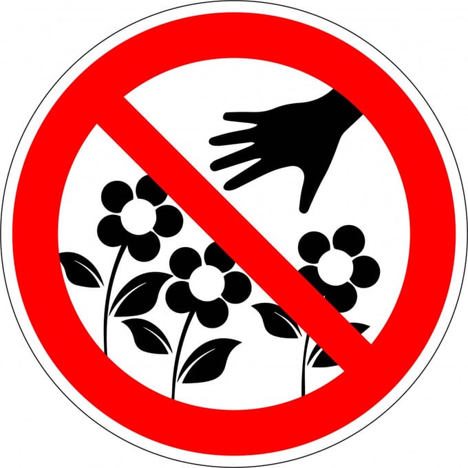 Verboden bloemen te plukken sticker 300 mm