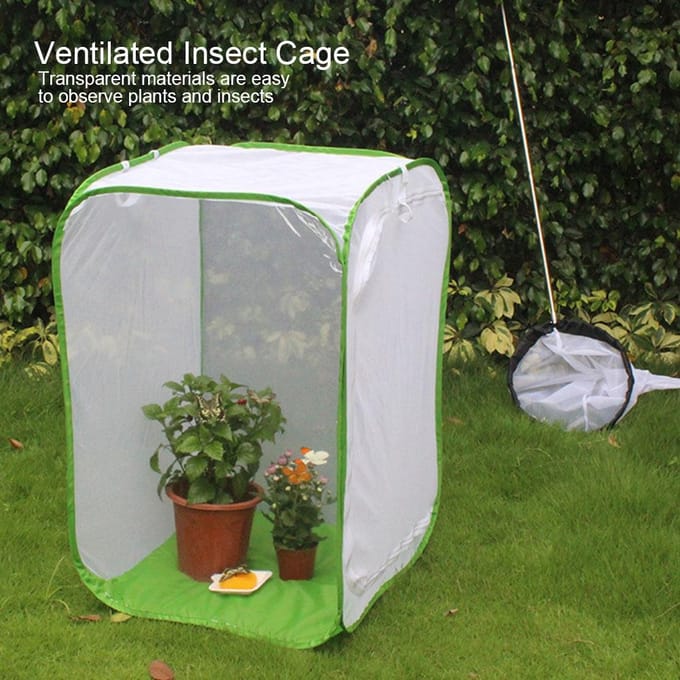 Opvouwbare Inklapbare Geventileerde Insectenkooi Lichtdoorlatende Mesh Kooi Rits Plantenhuis wit