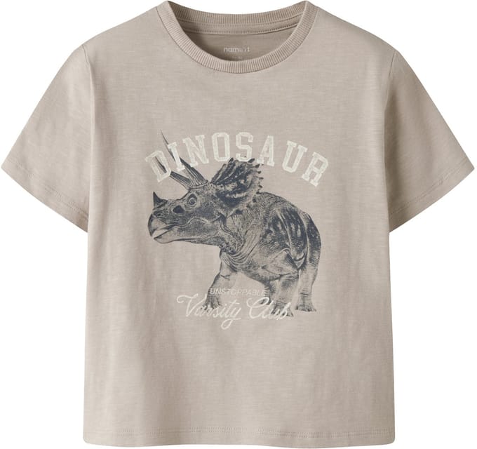 NAME IT - NMMFEATH SS NREG TOP BOX - Jongens - T-shirts