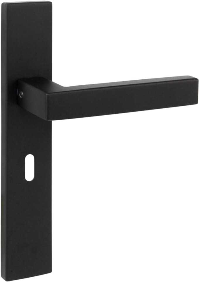 D4E RVS DEURKRUK OP SCHILD ZWART WEFRA SLEUTEL 56