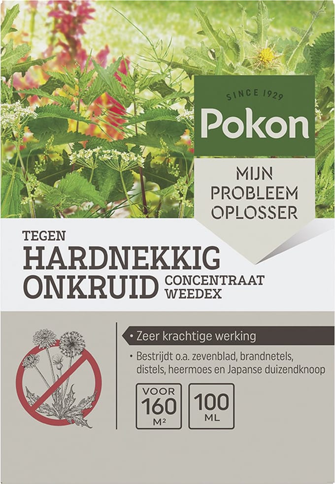 Pokon tegen Hardnekkig Onkruid Concentraat - 100ml - Goed voor 160m2 - 12,5ml per 1l water