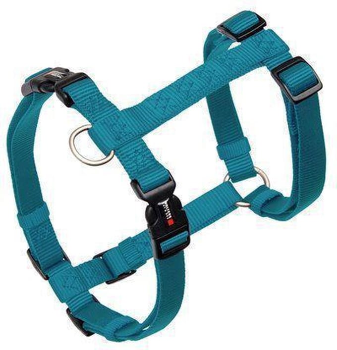 WOLTERS Halsband Wolters tuig aqua 55-80cm