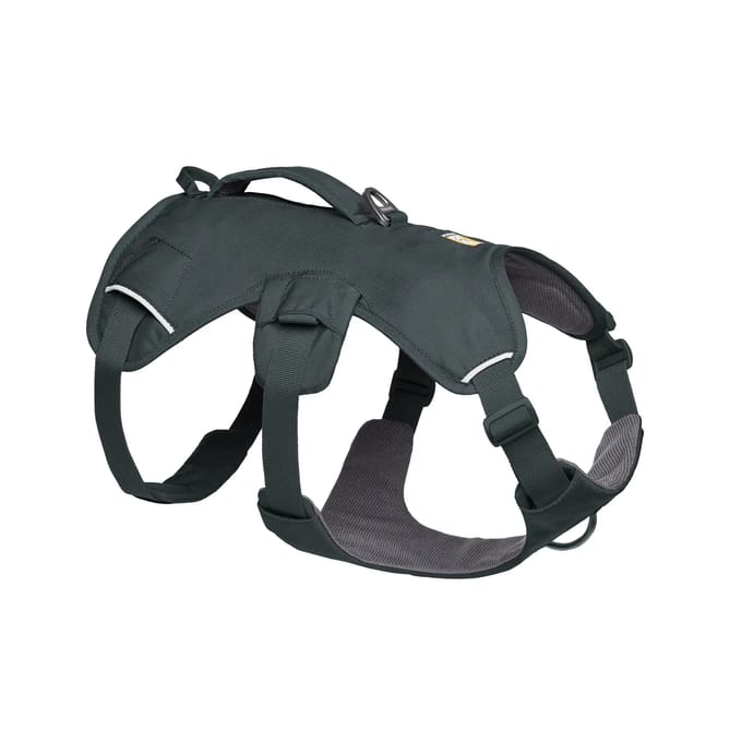 Hondentuig Ruffwear Web Master™