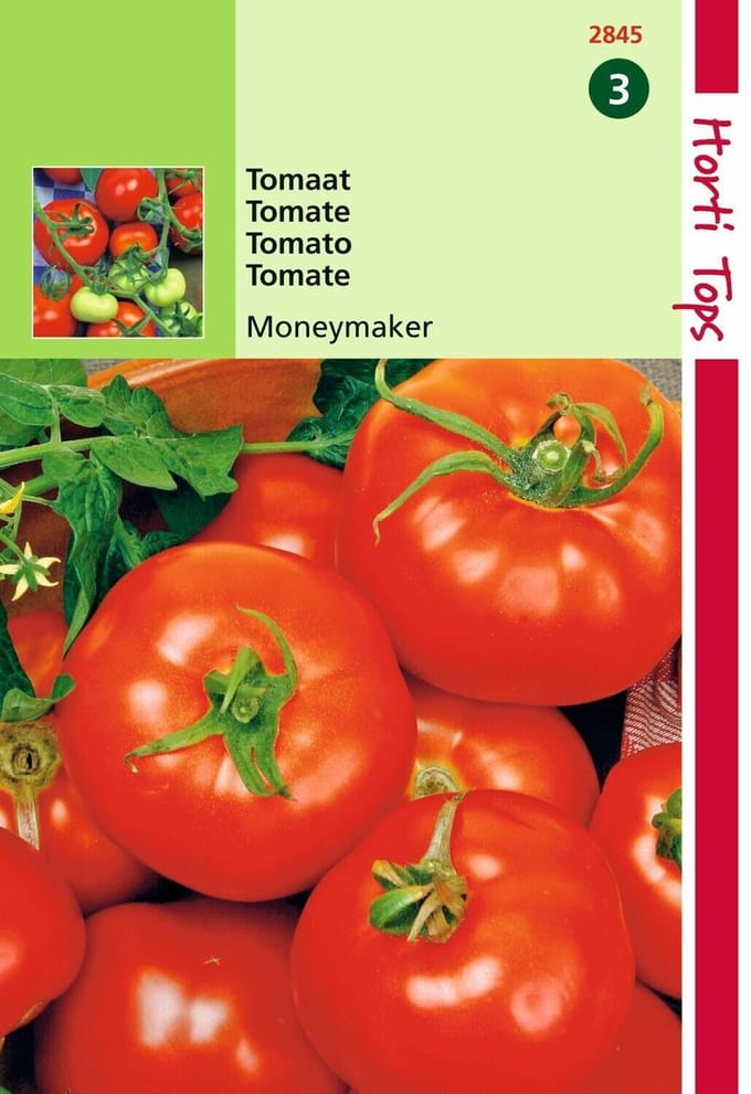 2 stuks - Hortitops - Tomaten Moneymaker