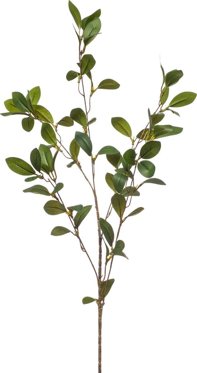 Emerald - Kunsttak Ruscus 90cm - Kunstplant voor binnen