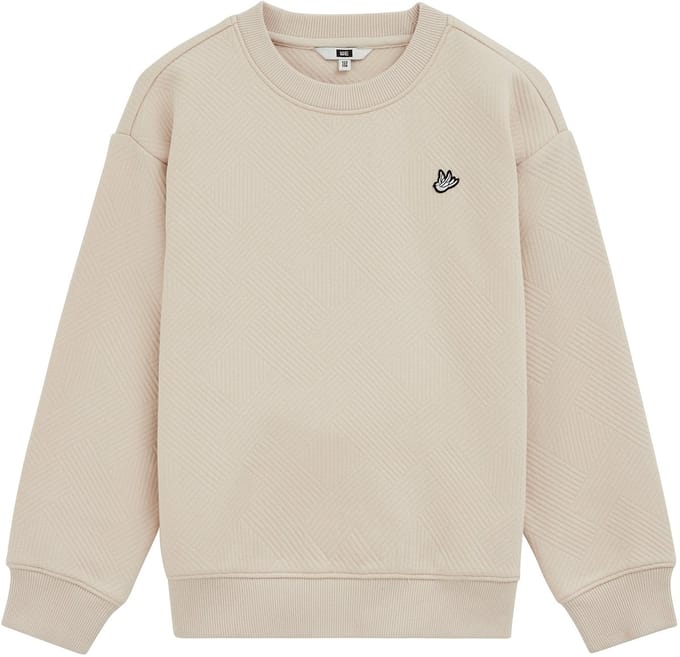WE Fashion Jongens sweater met structuur en embroidery