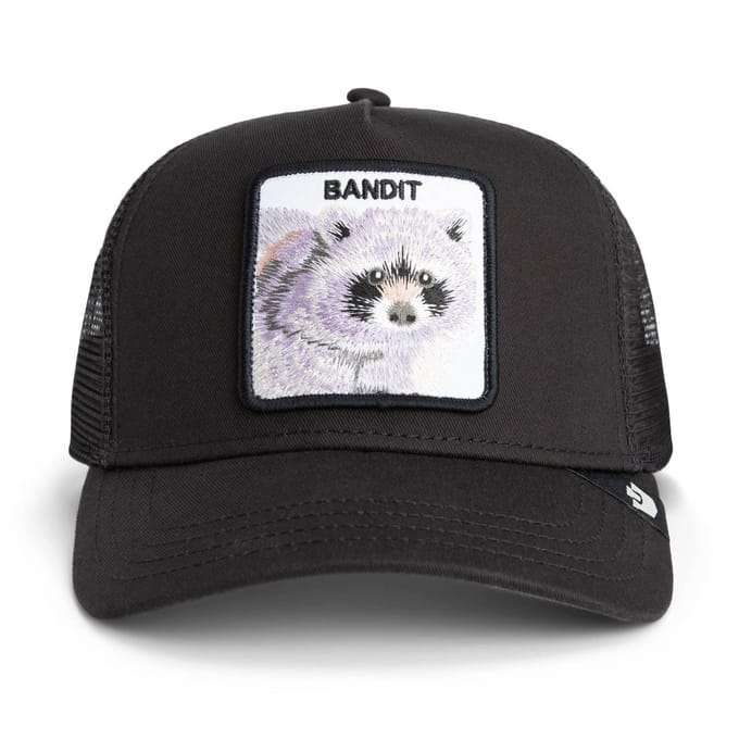 Goorin Bros. Bandit Trucker cap - Void