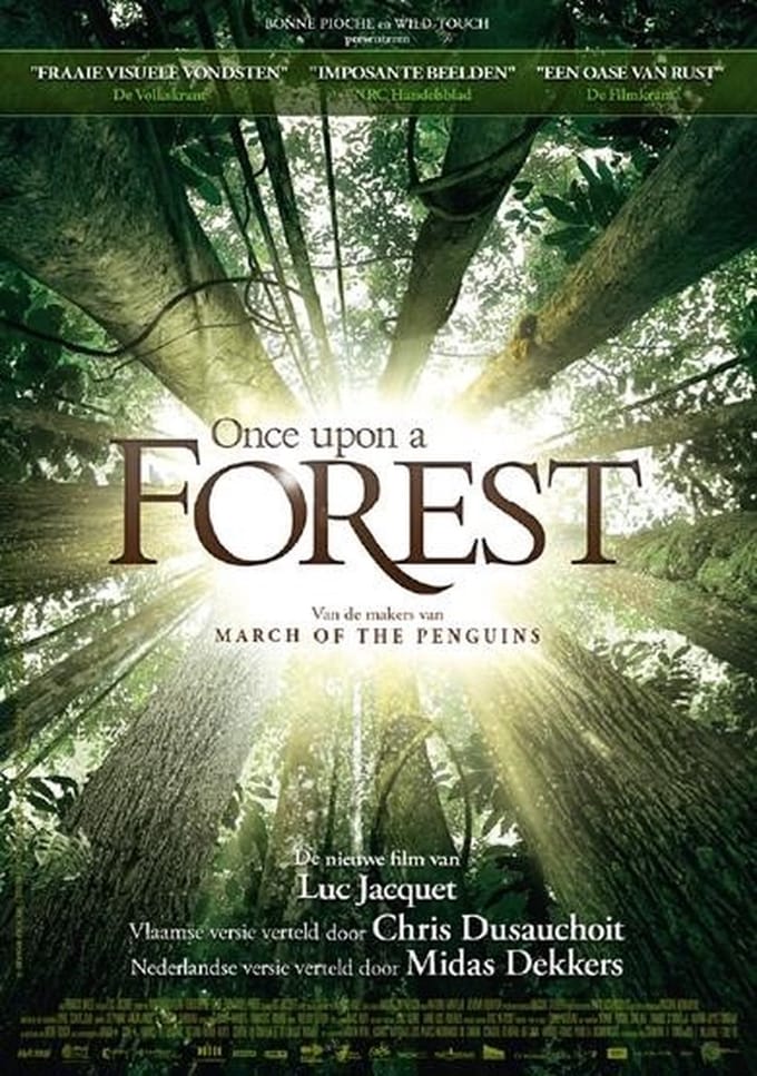 Once Upon A Forest