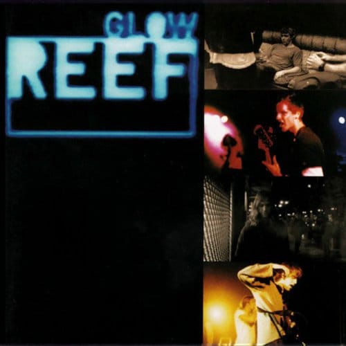 Glow - Reef