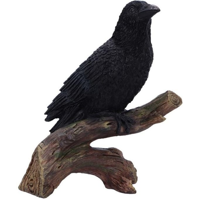 Nemesis Now - Gothic beeld - Ravens Perch - voor Geen - zwart
