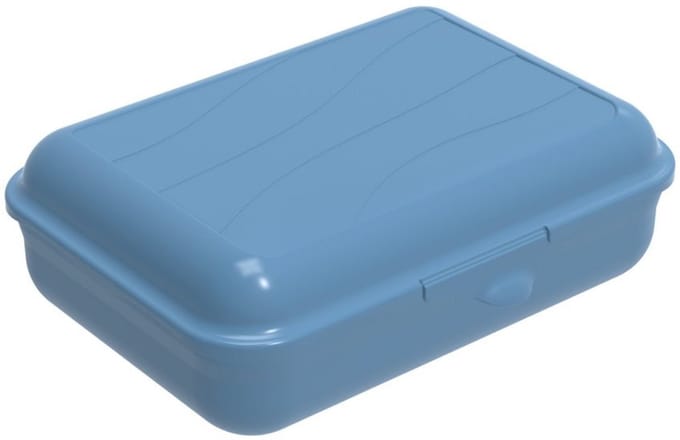 Rotho Fun Lunchbox 1.25L Horizon Blauw
