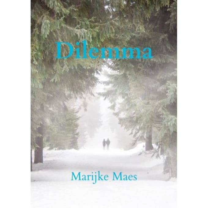 Dilemma - Marijke Maes
