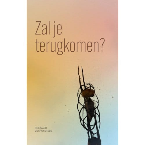 Zal Je Terugkomen? - Reginald Verhofstede