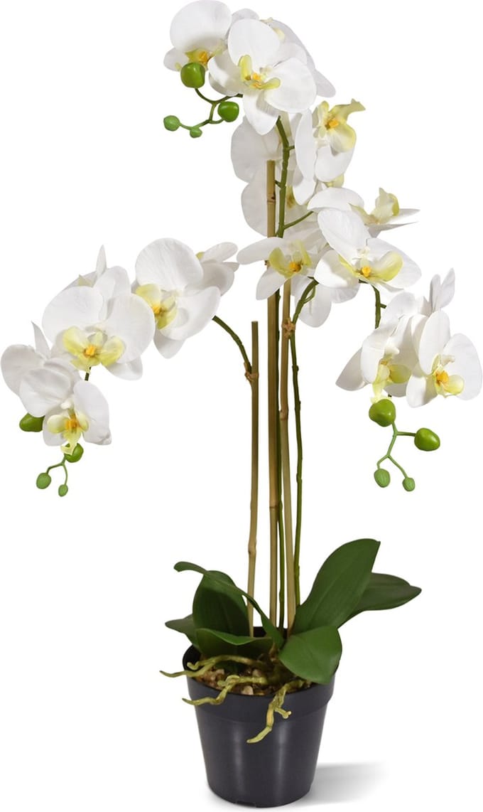 Phalaenopsis kunst Orchidee 75cm wit