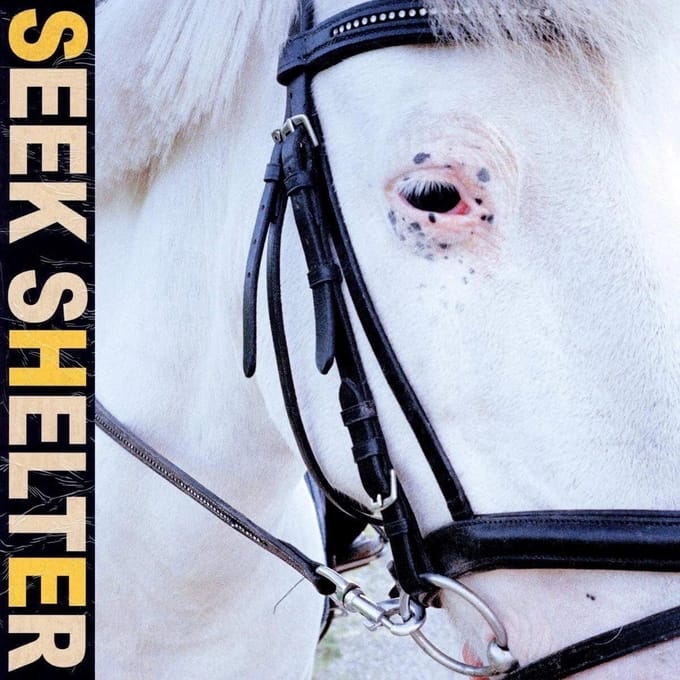 Iceage - Seek Shelter (LP) (Coloured Vinyl)