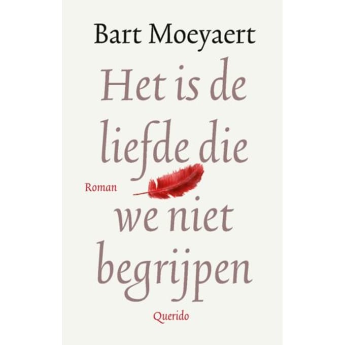 Het Is De Liefde Die We Niet Begrijpen - Bart Moeyaert