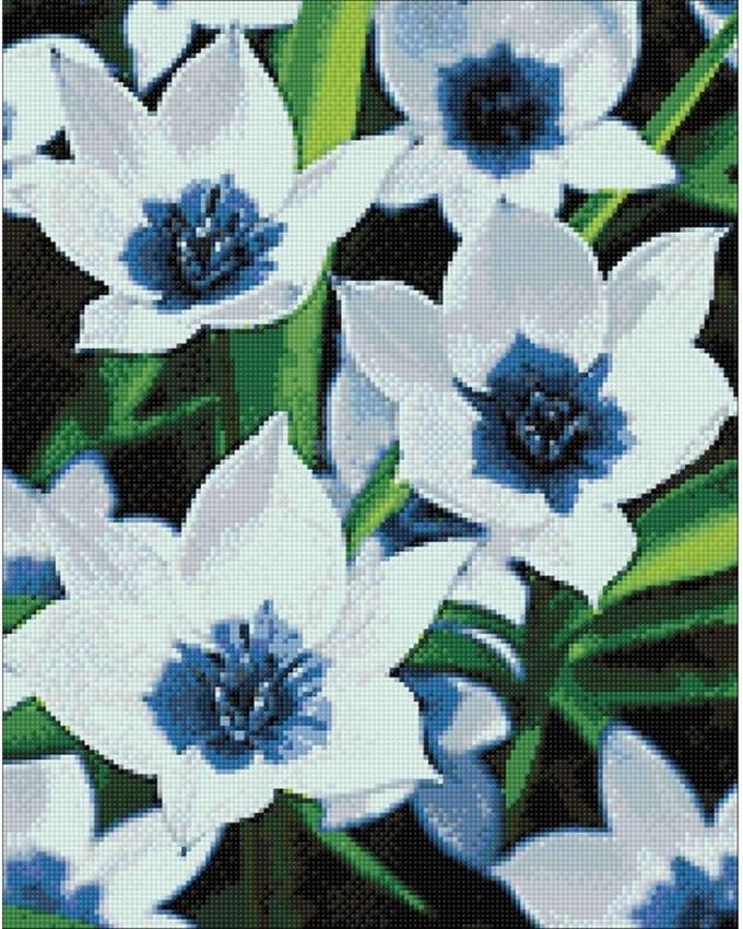 Wizardi Diamond Painting Kit Blue Eye Tulips WD034