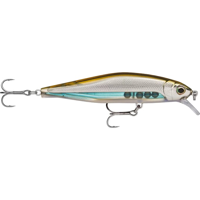 Lok Rapala Prec.Xtreme Air B.Sw 100 15,5g
