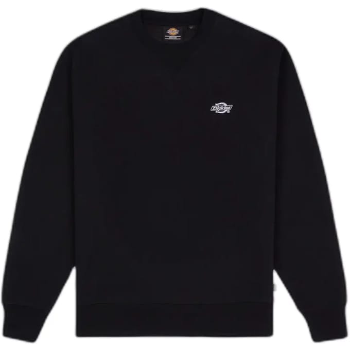 Sweaters Dickies SUMMERDALE SWEATSHIRT - DK0A4Y6Q-BLACK