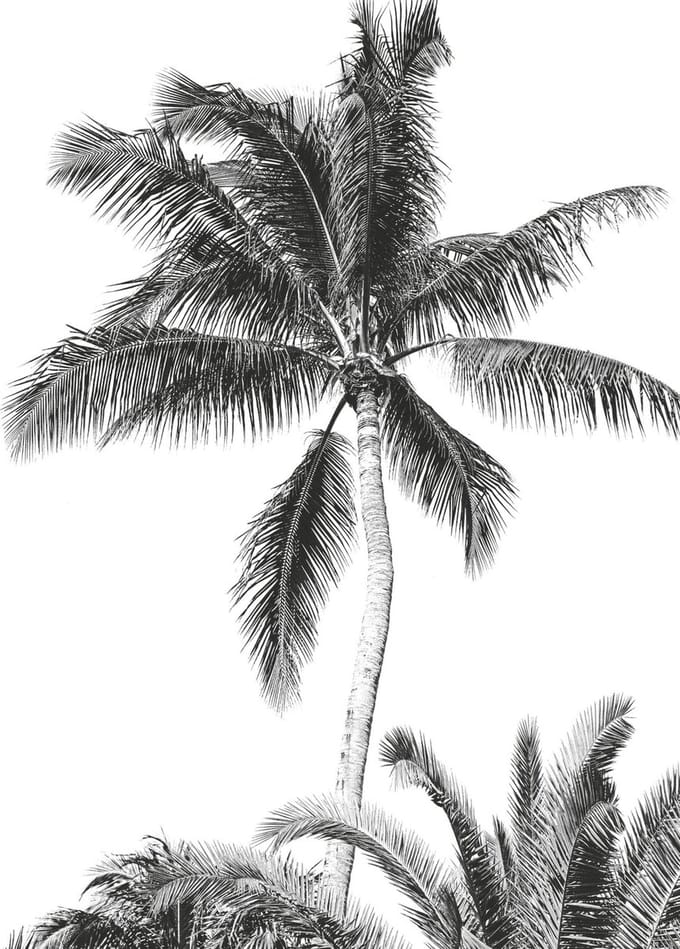 Fotobehang Retro Palm - Meerkleurig - 2,80m X 200cm