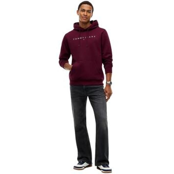 Capuchon sweaters Tommy Hilfiger TJM REG LINEAR LOGO DM0DM20746