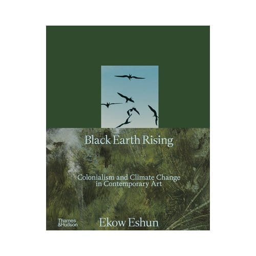 Black Earth Rising - Ekow Eshun