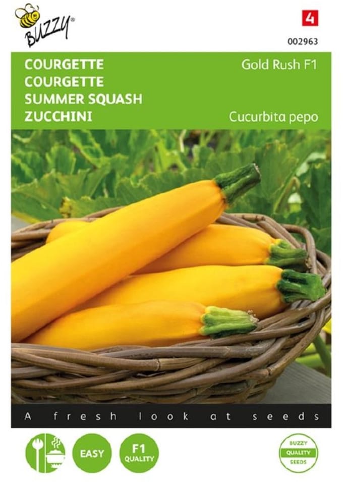 Buzzy® - Courgette Gold Rush F1 (Cucurbita pepo)