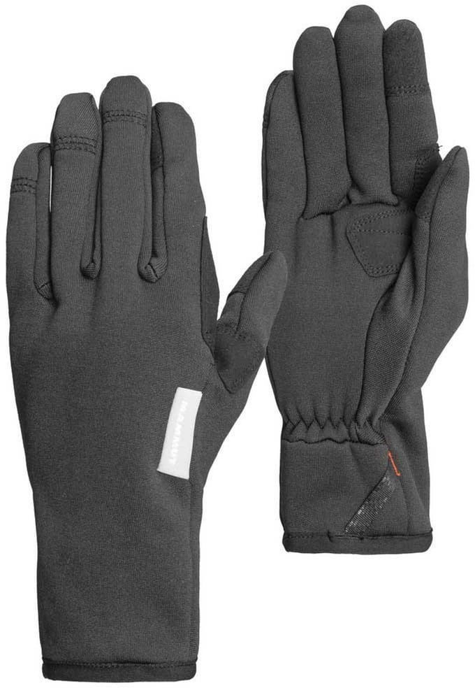 Mammut Fleece Pro Handschoenen Zwart 9 Man