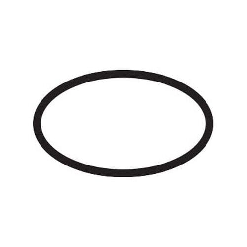 Hansgrohe O-ring 23x2, 98398000