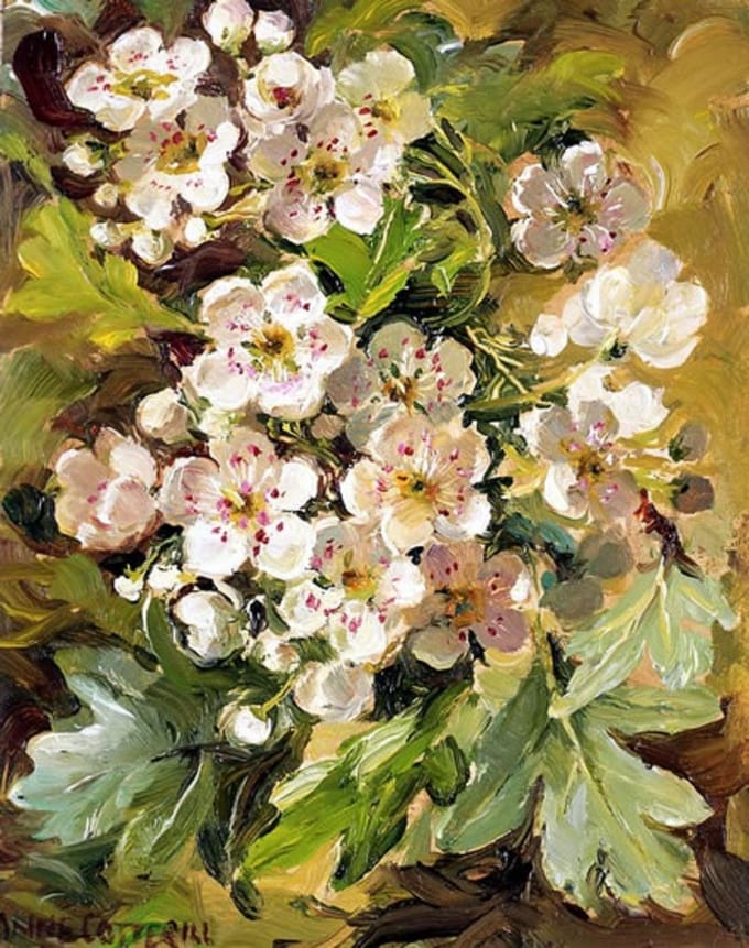 Cadeaukaart Meidoornbloesem 7,5x9,5cm