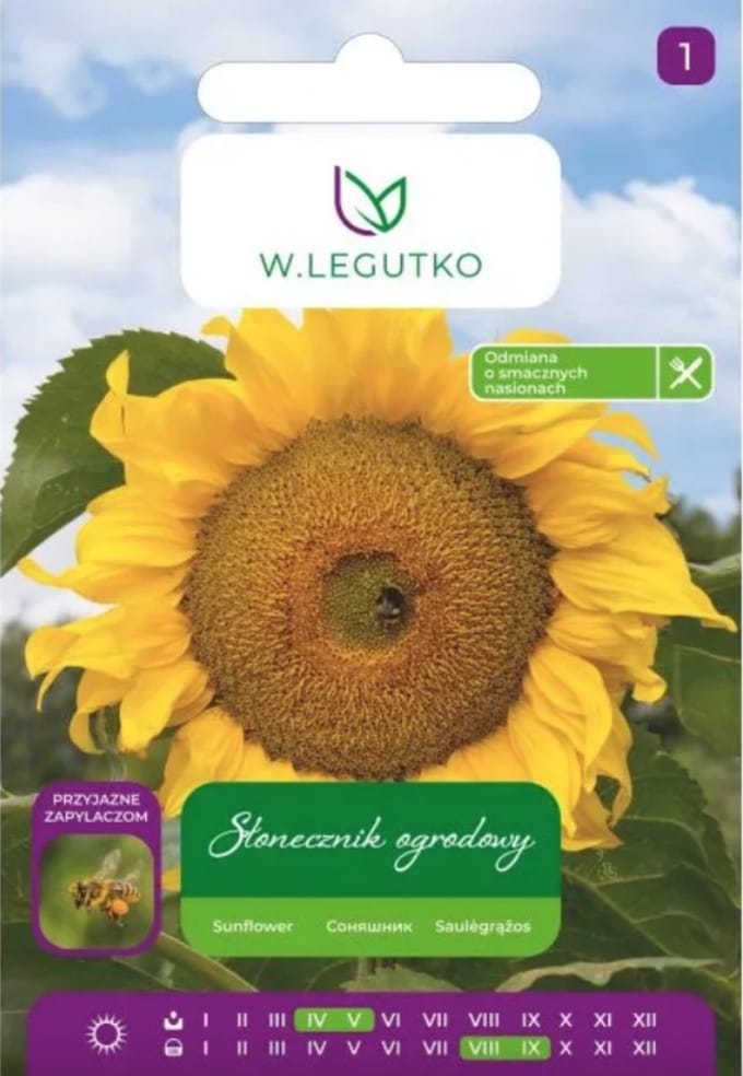 W.Legutko - Tuinzonnebloem, gestreepte zaden