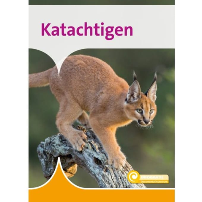 Katachtigen - Informatie - Marlies Huijzer