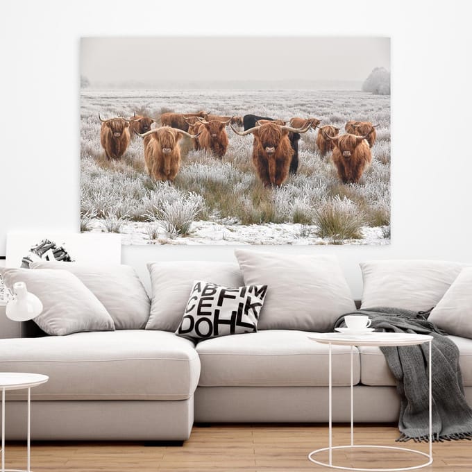 Schilderij Woonkamer - Schotse Hooglanders - Highlanders - 75 x 100 cm - PosterGuru