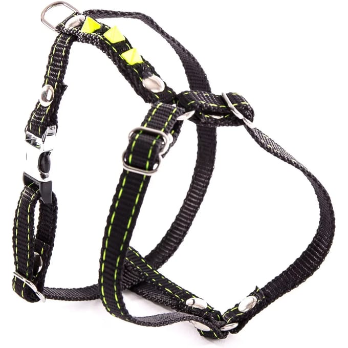 Fluo Harnas voor Hond Martin Sellier
