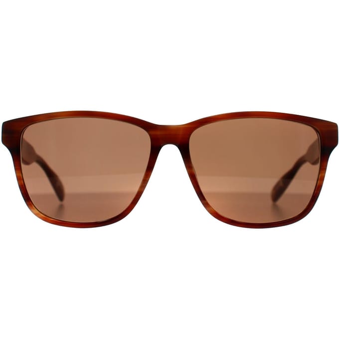 Ted Baker TB8232 151 bruin hoornen zonnebril