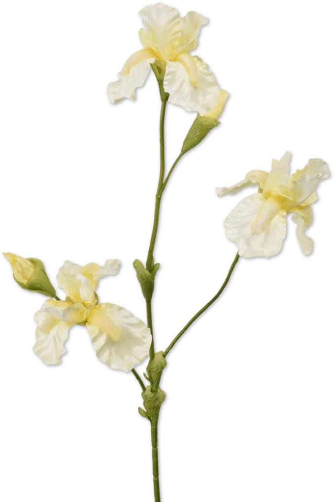 Viv! Home Luxuries Iris - zijden bloem - wit geel - 102cm