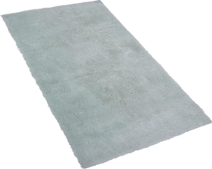 EVREN - Shaggy vloerkleed - Mintgroen - 80 x 150 cm - Polyester